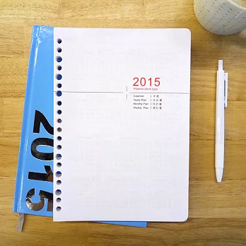 《Conifer》2015 玩色日誌補充內頁。25K