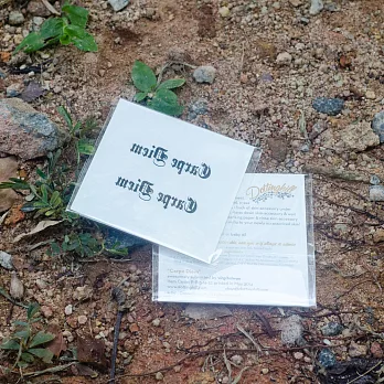 Dottinghill 刺青 紋身貼紙 / Carpe Diem