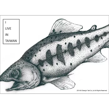 蔣堂 ‧ 台灣原生種系列明信片 - 櫻花鉤吻鮭