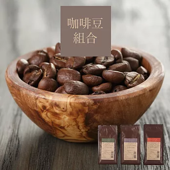 【大隱珈琲】嚴選咖啡豆 -《亞洲之星 + 非洲之星 + 義大利之星》三款風味組合 - 100%Arabica ~ 100g x 3包