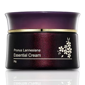 芮沁極潤日本晚櫻花機能霜35g