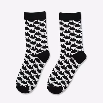 【Provocateur 煽動者】 百貓襪