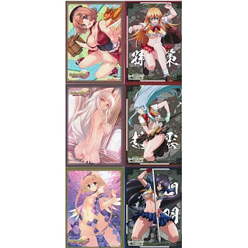 一騎當千與性感美少女角色收集卡套組(一組6張)