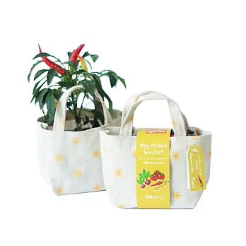 【迎光】Vegetable besket小植栽-五彩辣椒