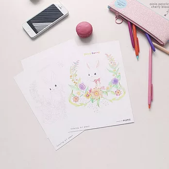 Pleple 夢想樂園A5著色卡組(2入)