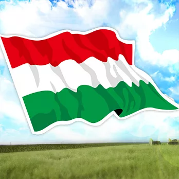 【國旗商品創意館】匈牙利國旗飄揚抗UV、防水貼紙2入/Hungary/世界多國款可選購