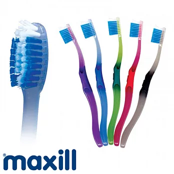 【加拿大美適】矯正V型牙刷(2入)