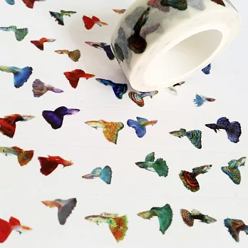 麒麟紙膠-孔雀魚