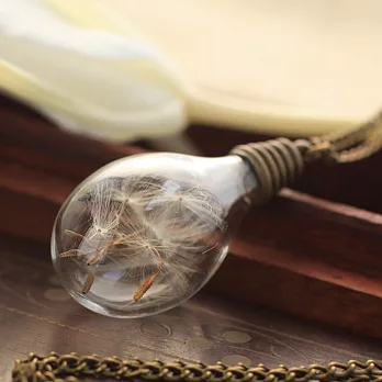 夢飛翔項鍊‧Alice遇見愛麗絲‧簡約之美