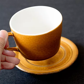 日本 miyama BICO 咖啡杯盤組 棕