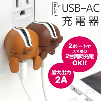 正版迪士尼 雙USB 轉接插頭 插座 AC 充電器 屁屁系列 - 奇奇蒂蒂奇奇蒂蒂