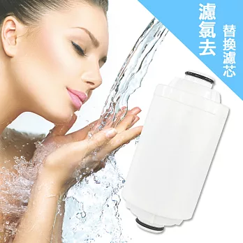 SMS濾氯去 除氯沐浴器替換濾芯1入