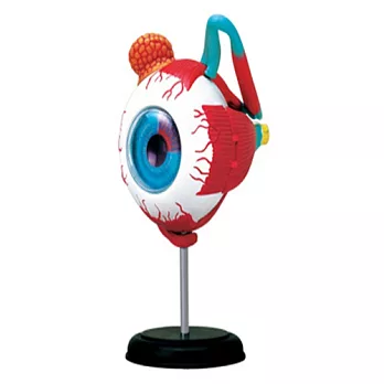 《Koubutu》4D Vision 立體人體解剖拼圖模型 - 眼球