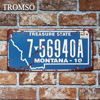 TROMSO紐約街頭美式車牌-蒙大拿藍
