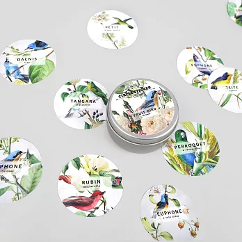 BY NACOO 趣味時光造型圓貼(48入)-06 果實鳥