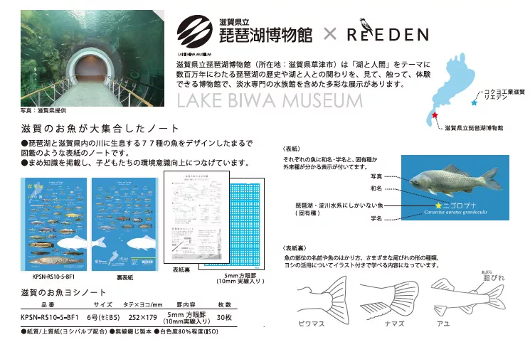 博客來好書推薦kokuyo 琵琶湖限定 Reeden魚類圖鑑筆記本 B5方格推薦 慕槐的自由手札 痞客邦