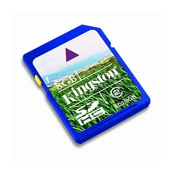 Kingston SDHC 8GB CLASS2