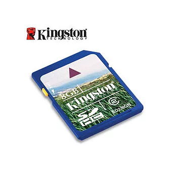 Kingston金士頓 8GB Class 2 SDHC 記憶卡
