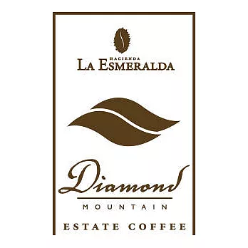 樹有風頂級莊園咖啡豆<巴拿馬-鑽石山>