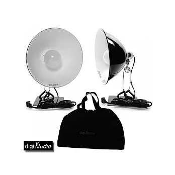 digiXtudio 專業多功能250w兩用攝影燈專用提袋組