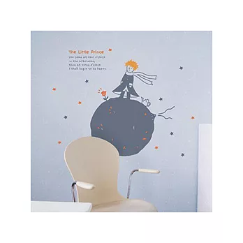 【Design W 創意壁貼】時尚家飾Little prince