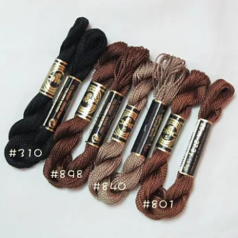 專業泰迪熊鼻線褐色Mid Brown #801