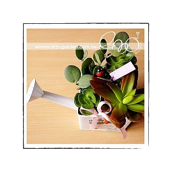 emo garden植栽-多肉澆水壺