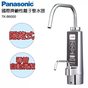 Panasonic 國際牌隱藏式鹼性離子整水器 TK-B6000