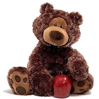 美國Gund-費賓泰迪熊/L