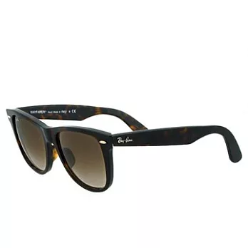 雷朋Wayfarer徒步旅行者系列 #RABA-2140A-902/51