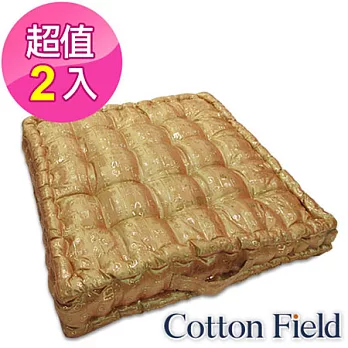 棉花田【五福臨門】燙金立體胖胖坐墊(二件組)