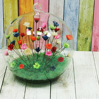 寵物花-泡泡水晶球Crystal Bubble