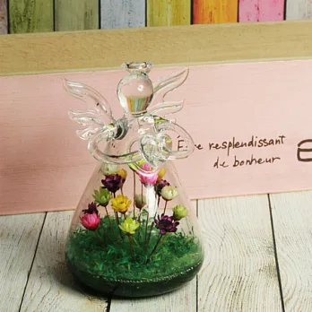 寵物花-羽翼天使La Petit Ange