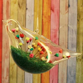 寵物花-幸福白鳥Lovely Wing