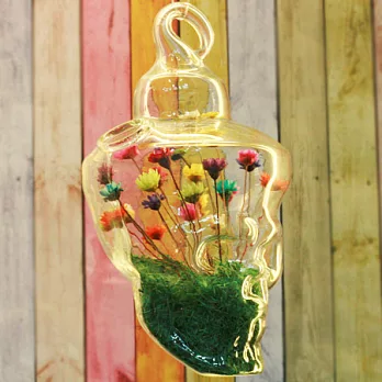 寵物花-搖滾骷髏Rock the World