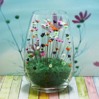 寵物花-法蘭克福(中子彈)