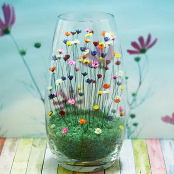 寵物花-法蘭克福(大子彈)