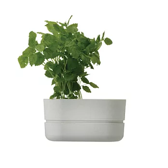 園藝大師香草橢圓花盆(白)