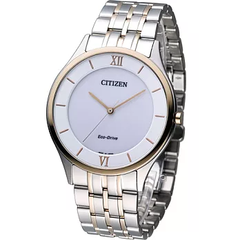 星辰錶 CITIZEN Eco-Drive 時尚菁英 紳士腕錶 AR0074-51A