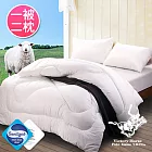 【POLO】台灣精製高密度防蹣抗菌潔淨羊毛被-雙人(含2枕)