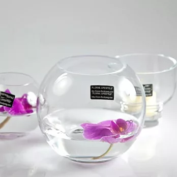 歐洲手工玻璃缸-小圓球形