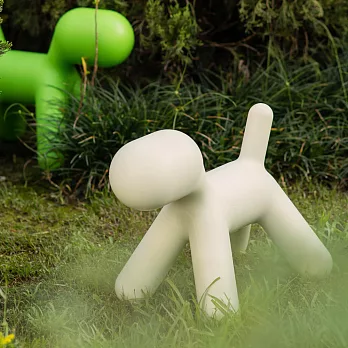 Puppy(霧白小型犬)