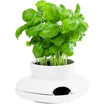 《SAGAFORM》香草植物栽培瓶(S)