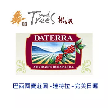 樹有風頂級莊園咖啡豆