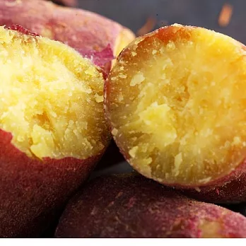 【上野物產】栗香地瓜