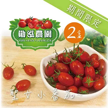 《朱家農場》嘉義太保 - 聖女小番茄 (500g/盒，共2盒)