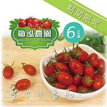 《朱家農場》嘉義太保 - 聖女小番茄 (500g/盒，共6盒)