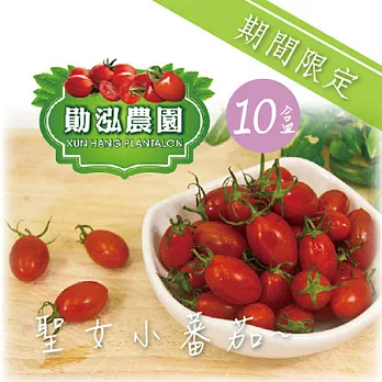 《朱家農場》嘉義太保 - 聖女小番茄 (500g/盒，共10盒)