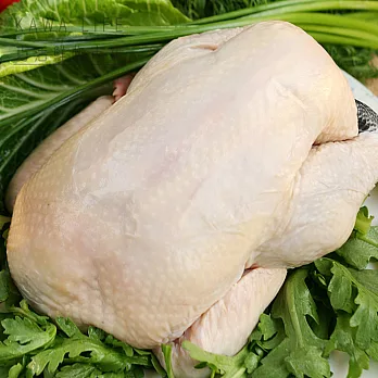 【KAWA巧活】黑鑽精緻全雞