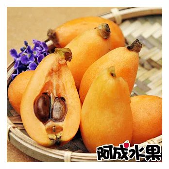【阿成水果】中台灣特選枇杷(12~15粒X2盒入/約1kg)